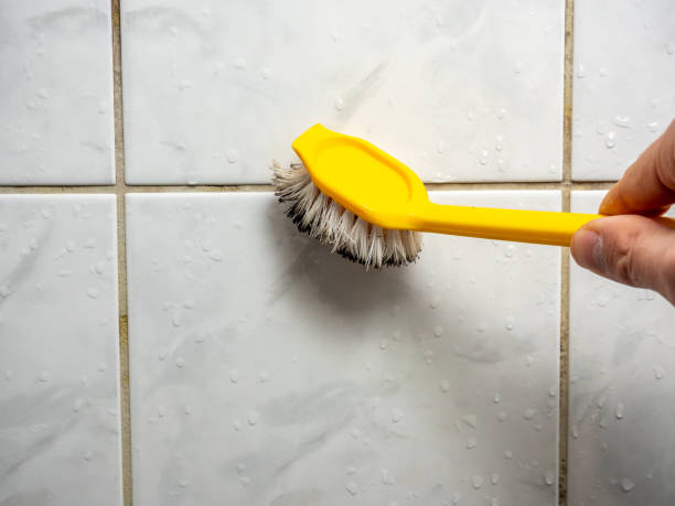 Best Mold Remediation  in Millers Creek, NC