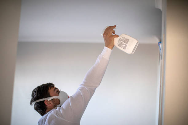 Best Mold Remediation  in Millers Creek, NC